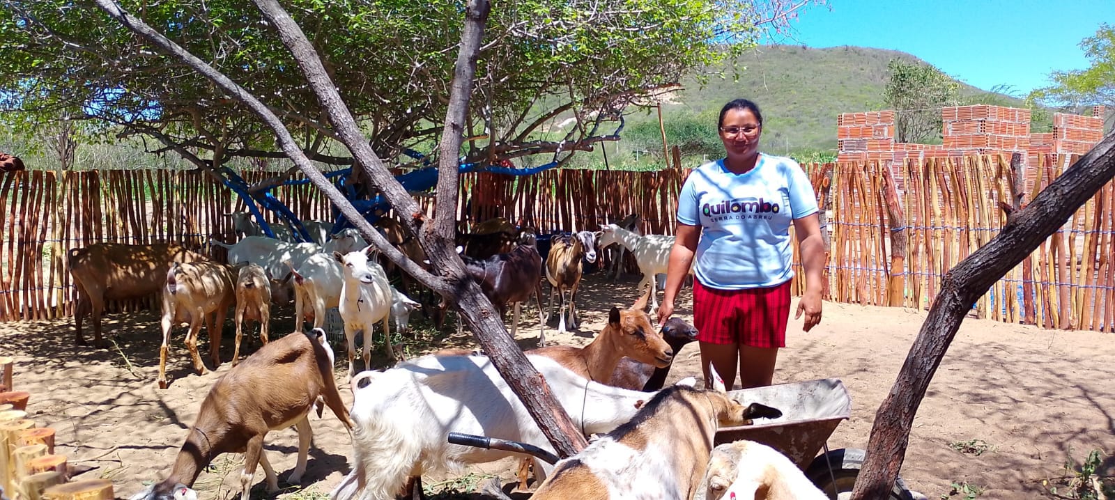 Mulheres Quilombolas Iniciam Projeto Inovador de Criação de Cabras Leiteiras no Dia do Trabalhador